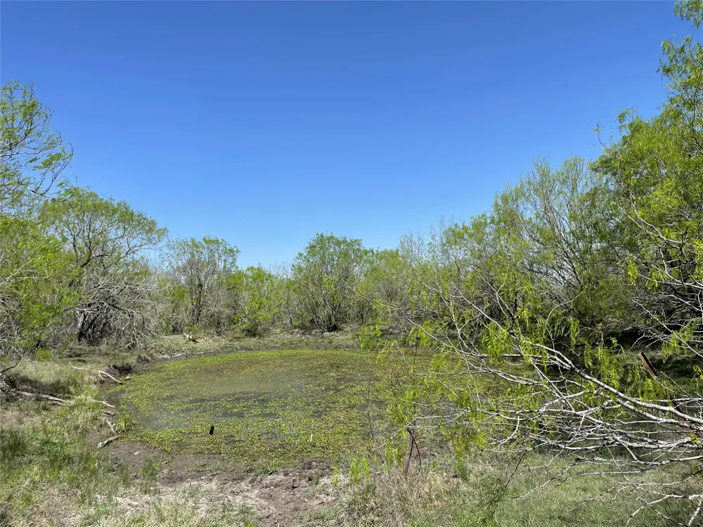 11319 Doyle Overton Road Del Valle, TX 78617