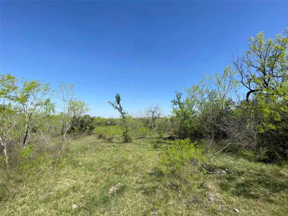 11319 Doyle Overton Road Del Valle, TX 78617