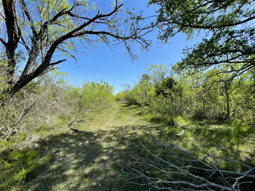 11319 Doyle Overton Road Del Valle, TX 78617