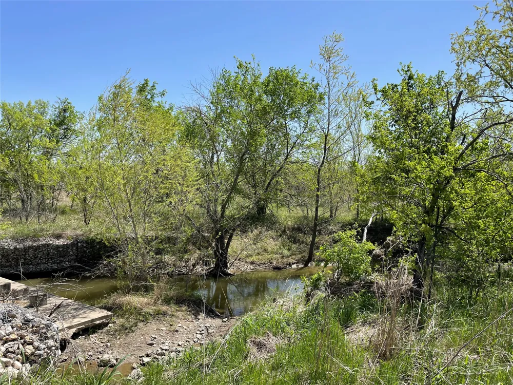 11319 Doyle Overton Road Del Valle, TX 78617