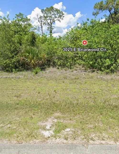 3025 E BRIARWOOD CIR La Belle, FL 33935