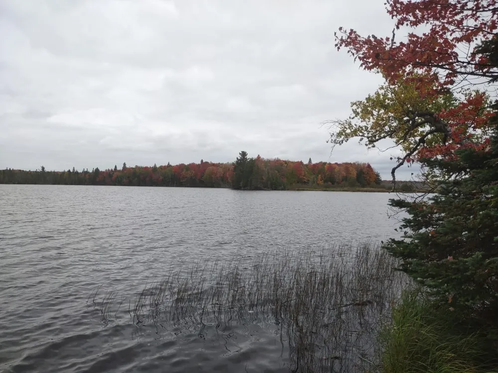 5800 Wolf Lake Road Watersmeet, MI 49969