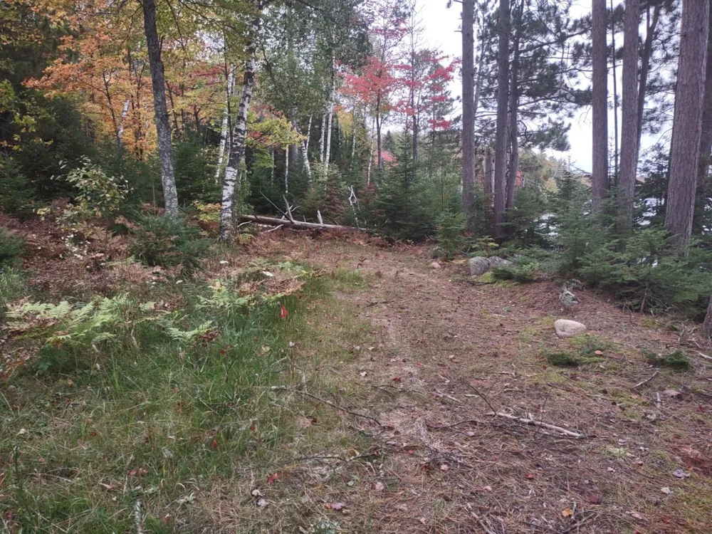 5800 Wolf Lake Road Watersmeet, MI 49969