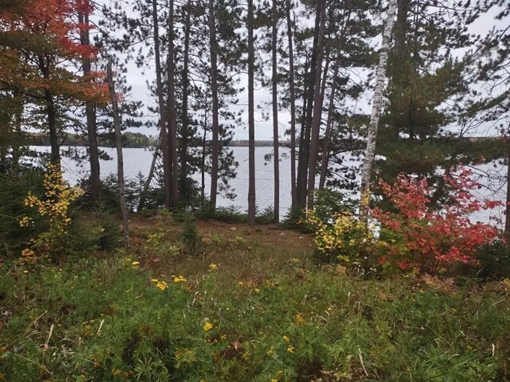 5800 Wolf Lake Road Watersmeet, MI 49969