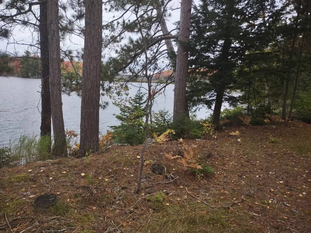 5800 Wolf Lake Road Watersmeet, MI 49969