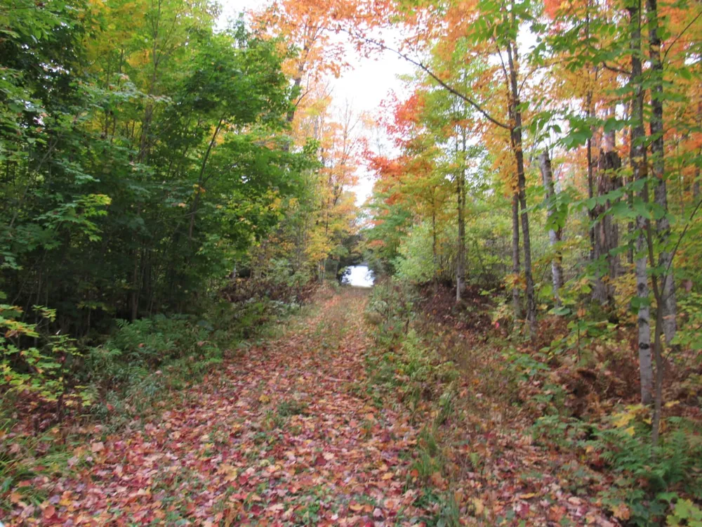 5800 Wolf Lake Road Watersmeet, MI 49969