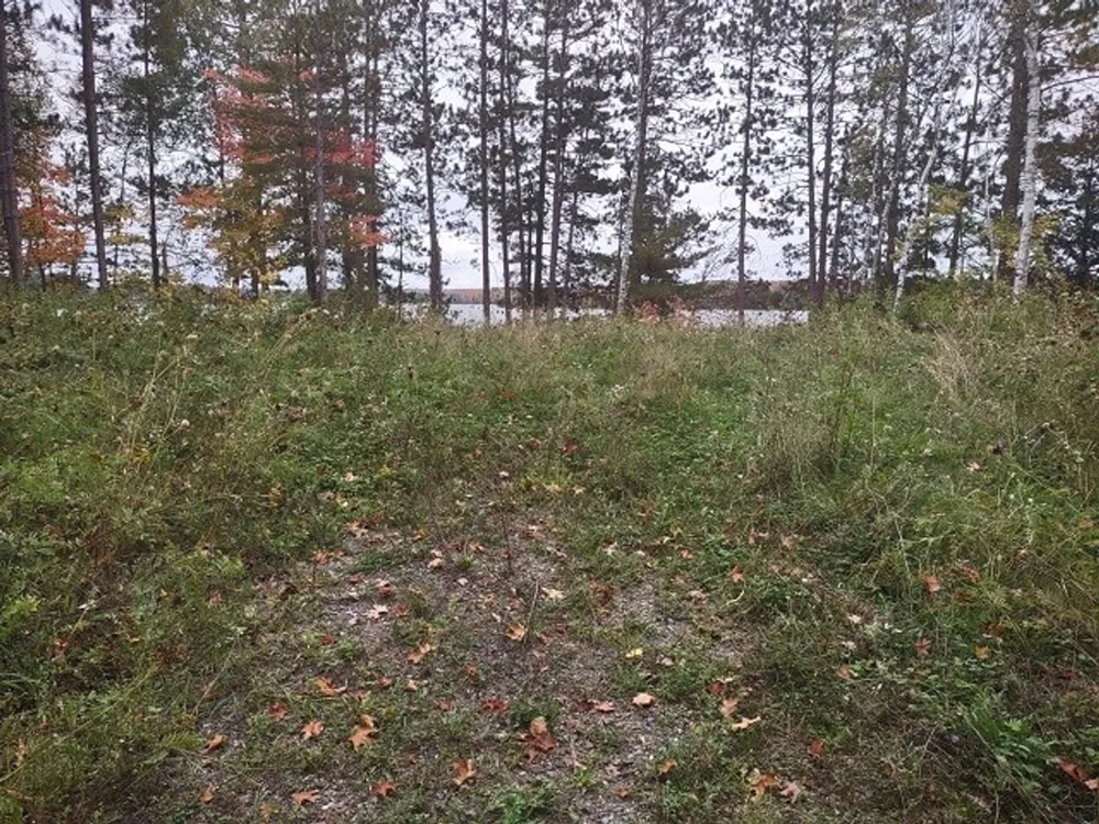5800 Wolf Lake Road Watersmeet, MI 49969