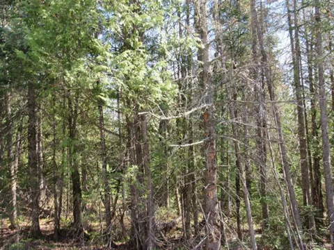 TBD Rice Lake Road