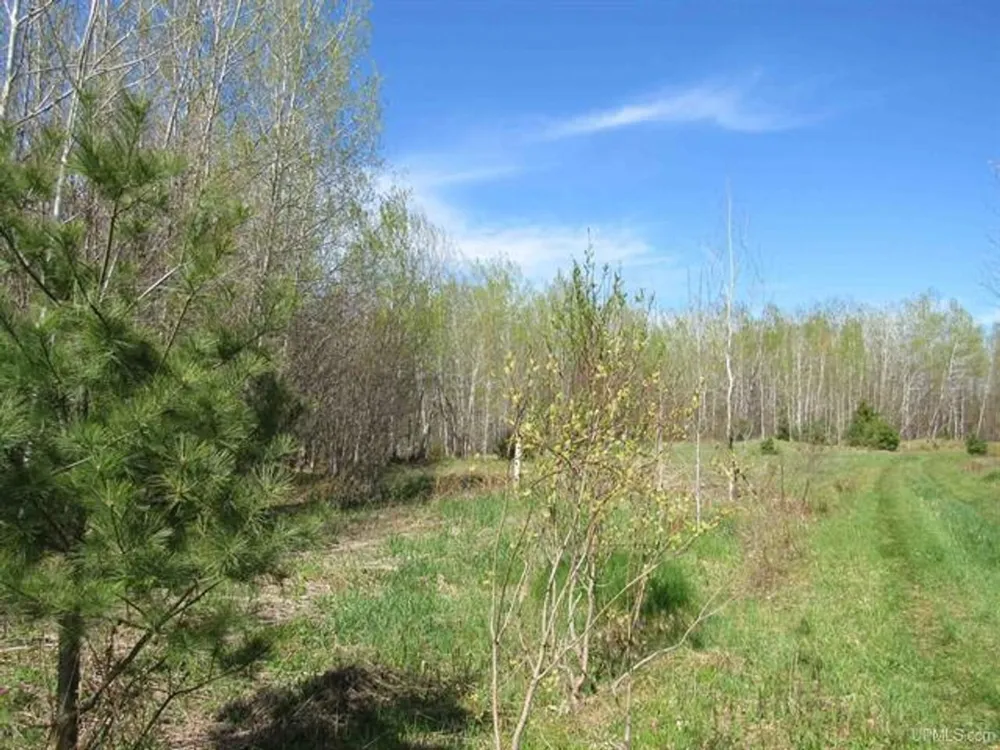 TBD Off Rice Lake Rd Lake Linden, MI 49945