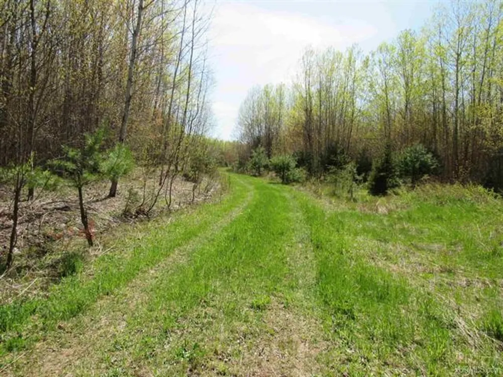 TBD Off Rice Lake Rd Lake Linden, MI 49945