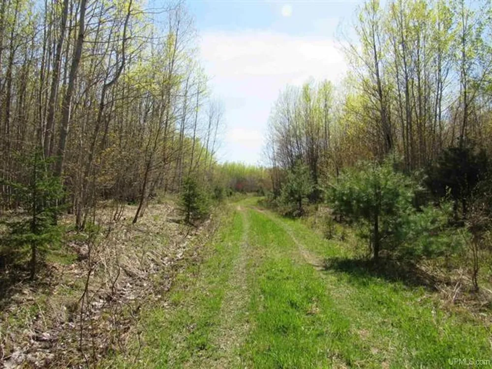 TBD Off Rice Lake Rd Lake Linden, MI 49945