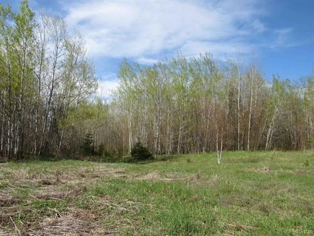 TBD Off Rice Lake Rd Lake Linden, MI 49945