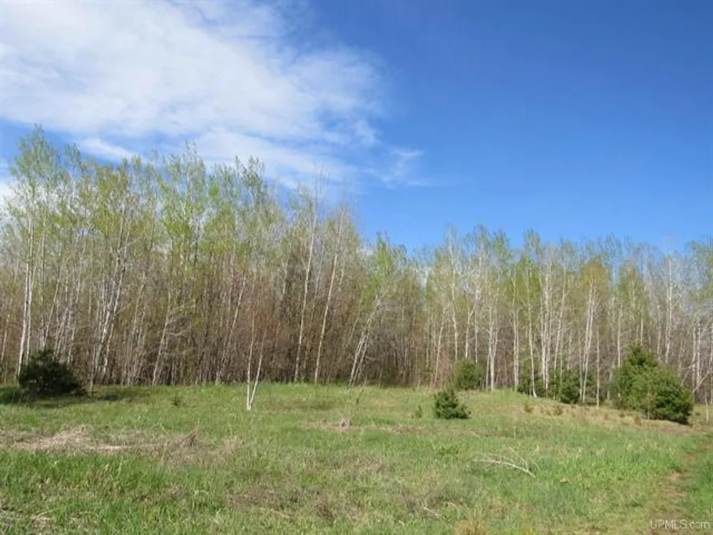 TBD Off Rice Lake Rd Lake Linden, MI 49945
