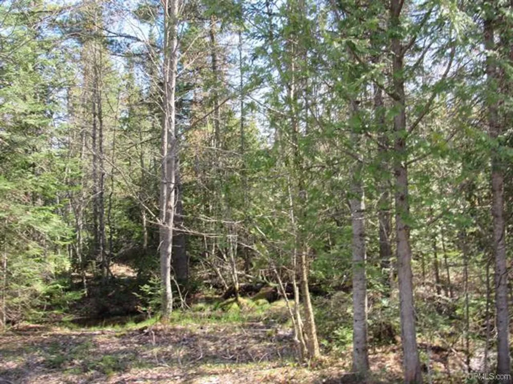 TBD Off Rice Lake Rd Lake Linden, MI 49945
