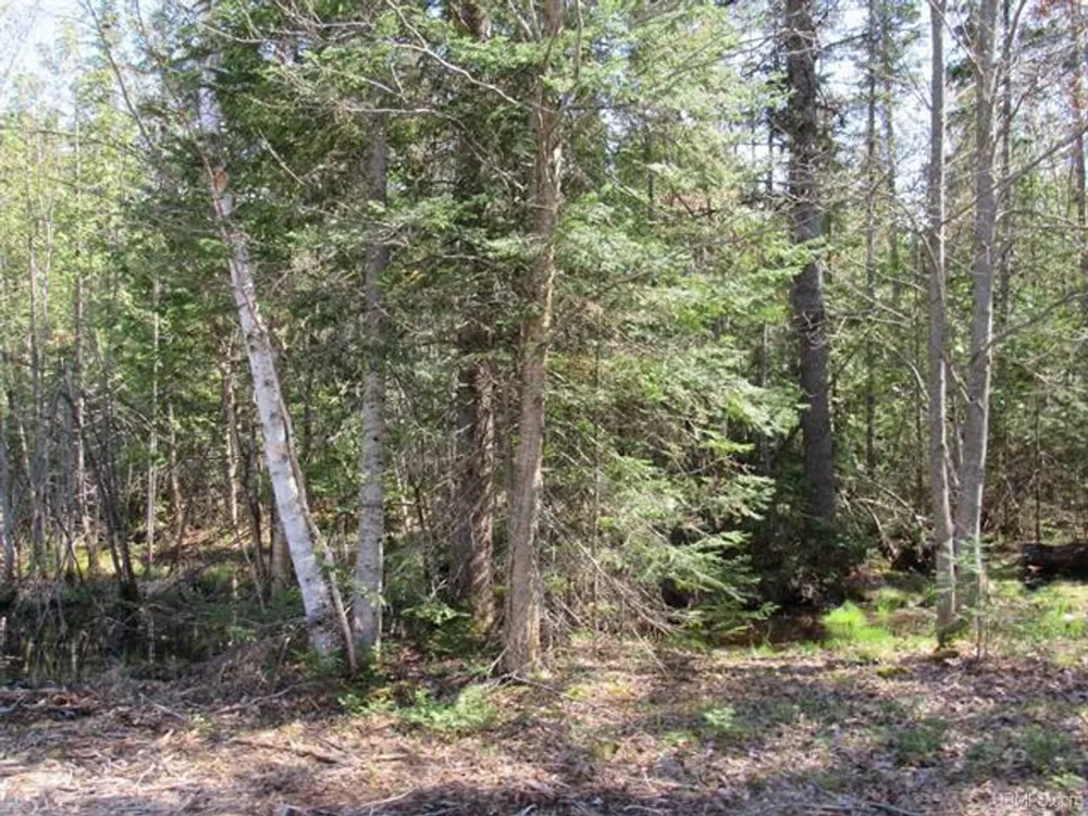 TBD Off Rice Lake Rd Lake Linden, MI 49945