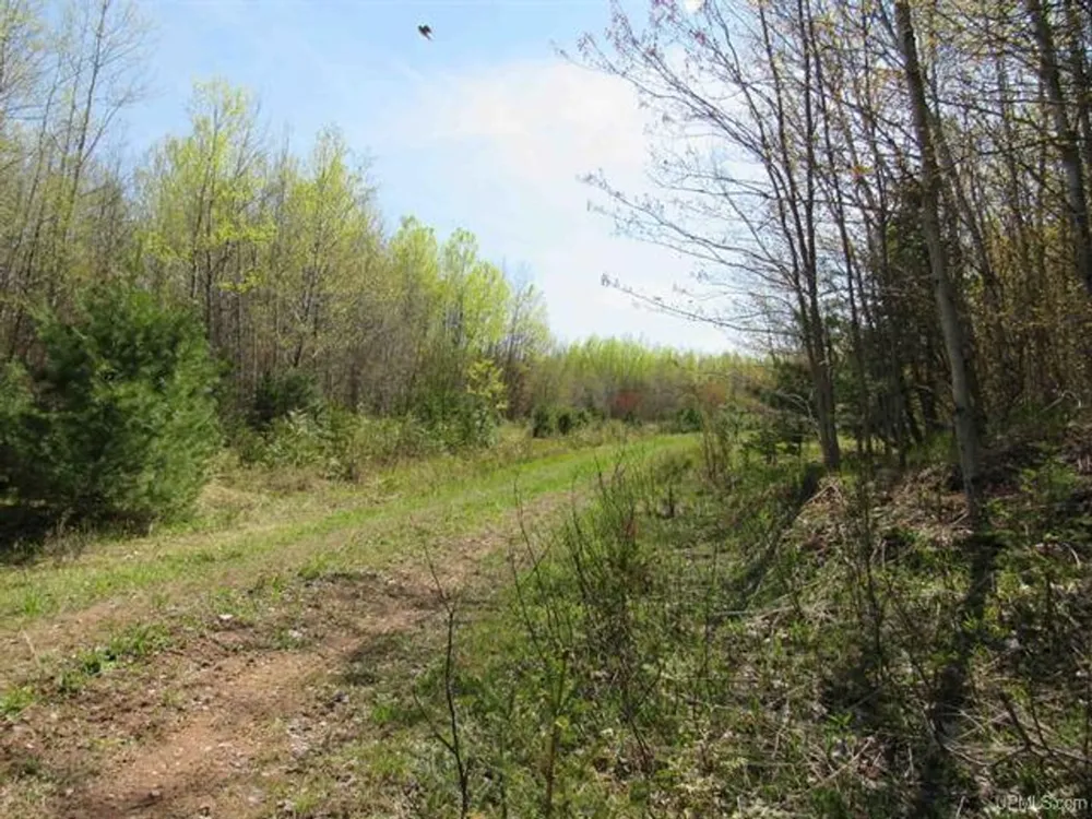 TBD Off Rice Lake Rd Lake Linden, MI 49945