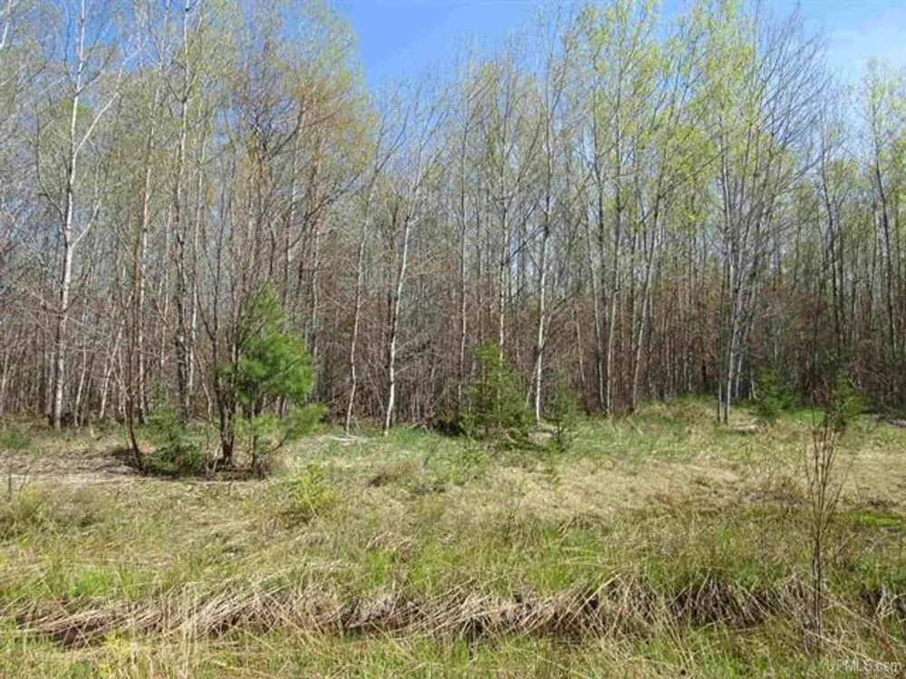 TBD Off Rice Lake Rd Lake Linden, MI 49945