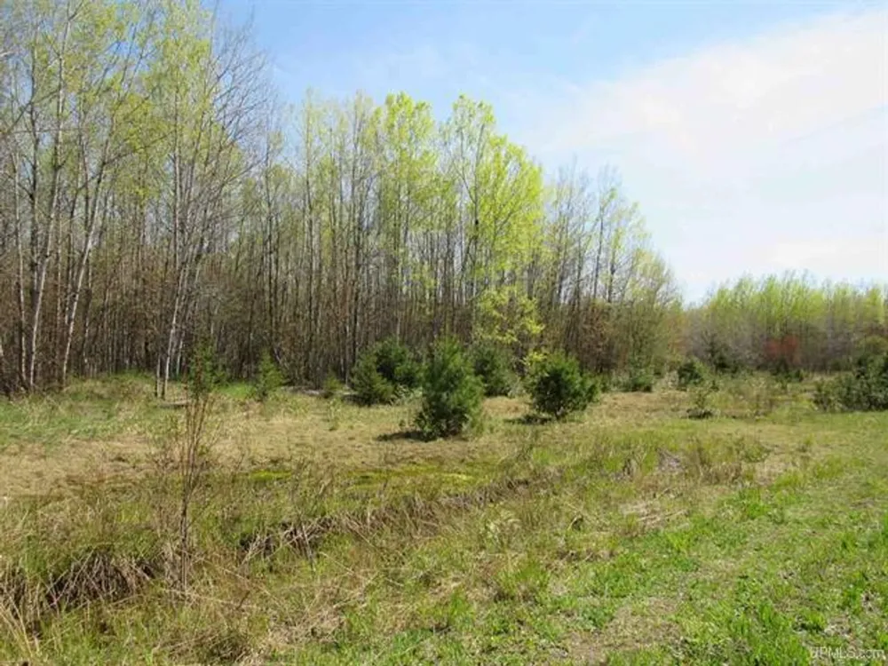 TBD Off Rice Lake Rd Lake Linden, MI 49945