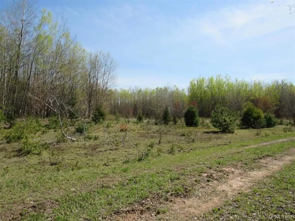 TBD Off Rice Lake Rd Lake Linden, MI 49945