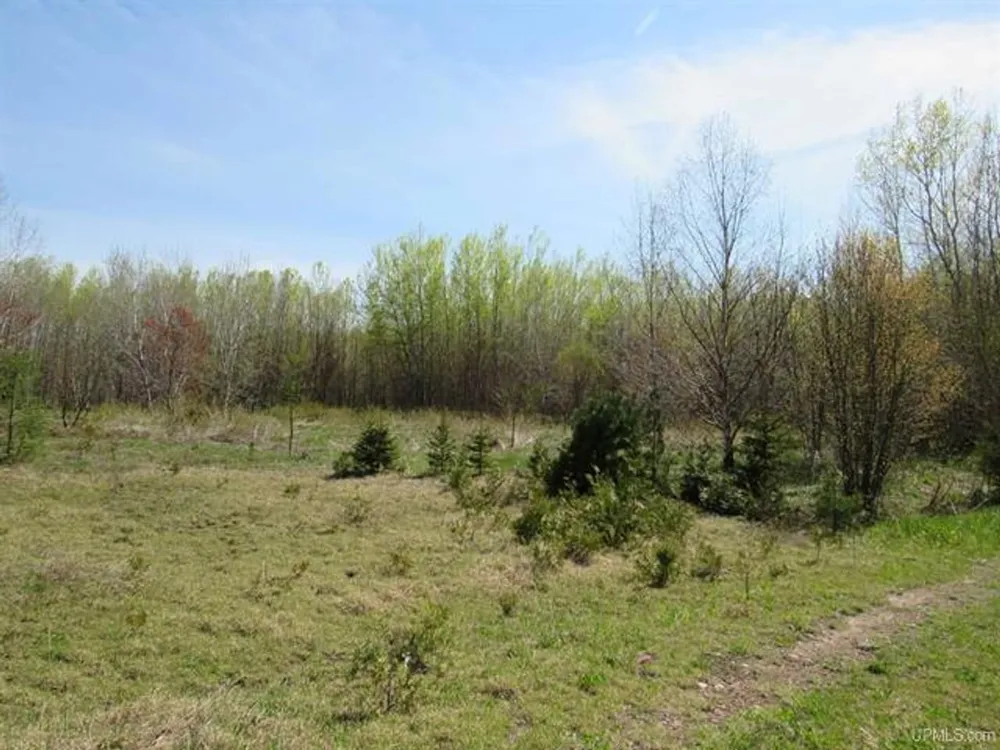 TBD Off Rice Lake Rd Lake Linden, MI 49945