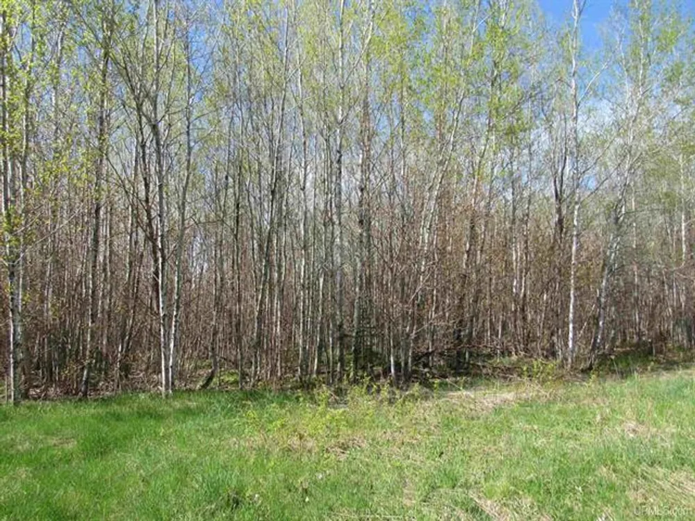 TBD Off Rice Lake Rd Lake Linden, MI 49945