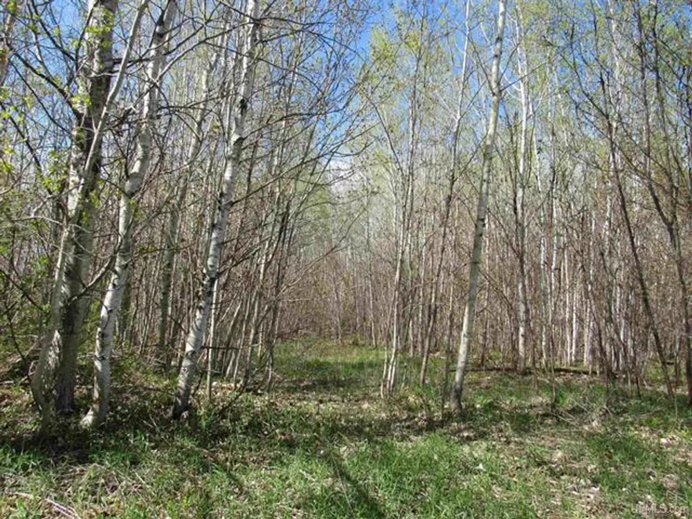 TBD Off Rice Lake Rd Lake Linden, MI 49945