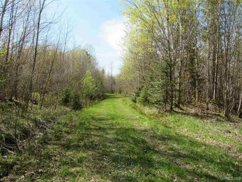 TBD Off Rice Lake Rd Lake Linden, MI 49945