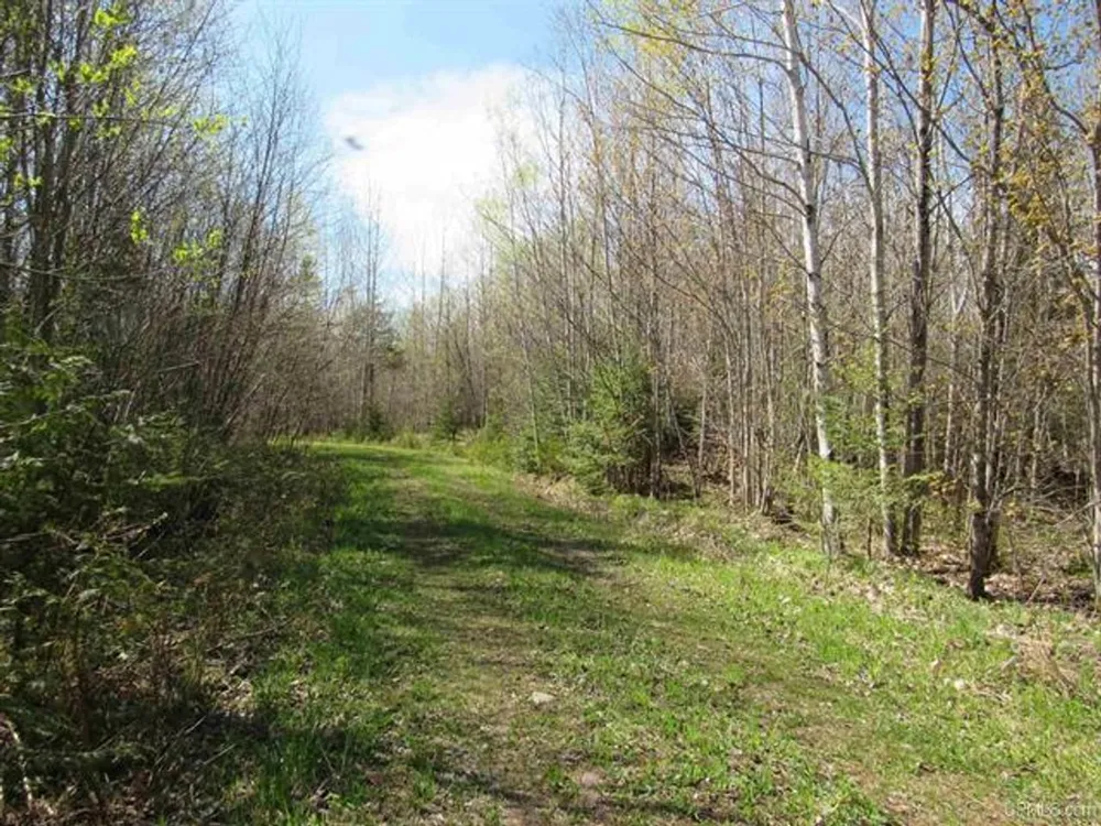TBD Off Rice Lake Rd Lake Linden, MI 49945