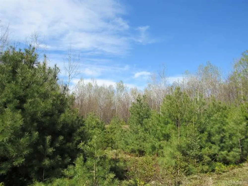 TBD Off Rice Lake Rd Lake Linden, MI 49945