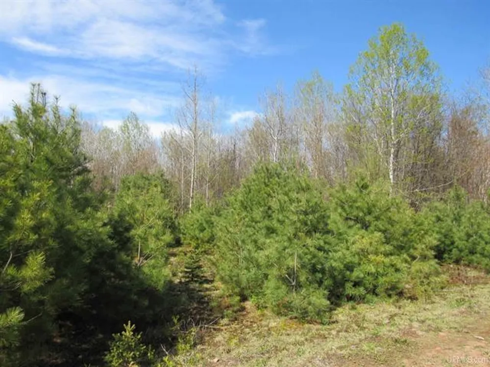 TBD Off Rice Lake Rd Lake Linden, MI 49945