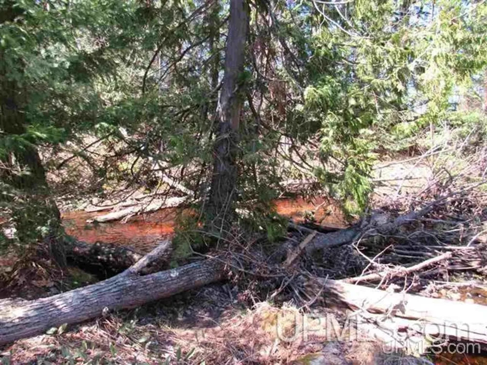 TBD Off Rice Lake Rd Lake Linden, MI 49945