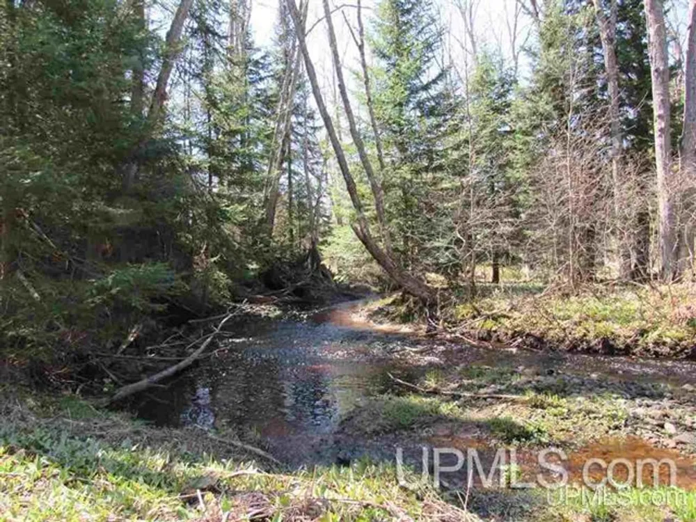 TBD Off Rice Lake Rd Lake Linden, MI 49945