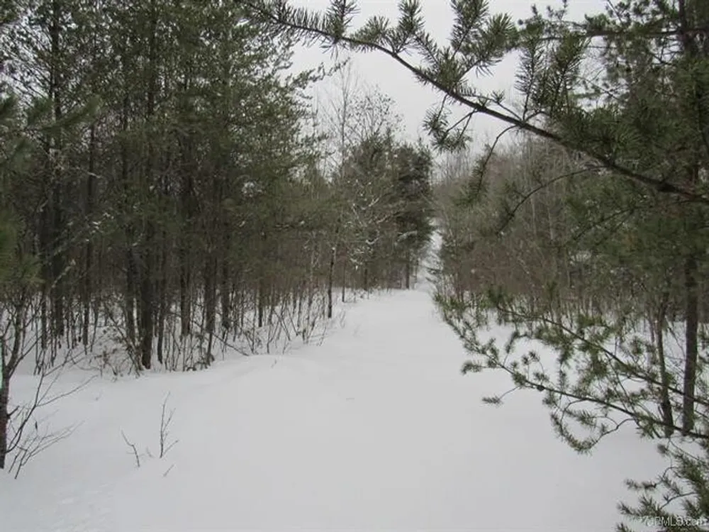 TBD FFR 2127K Road Iron River, MI 49935