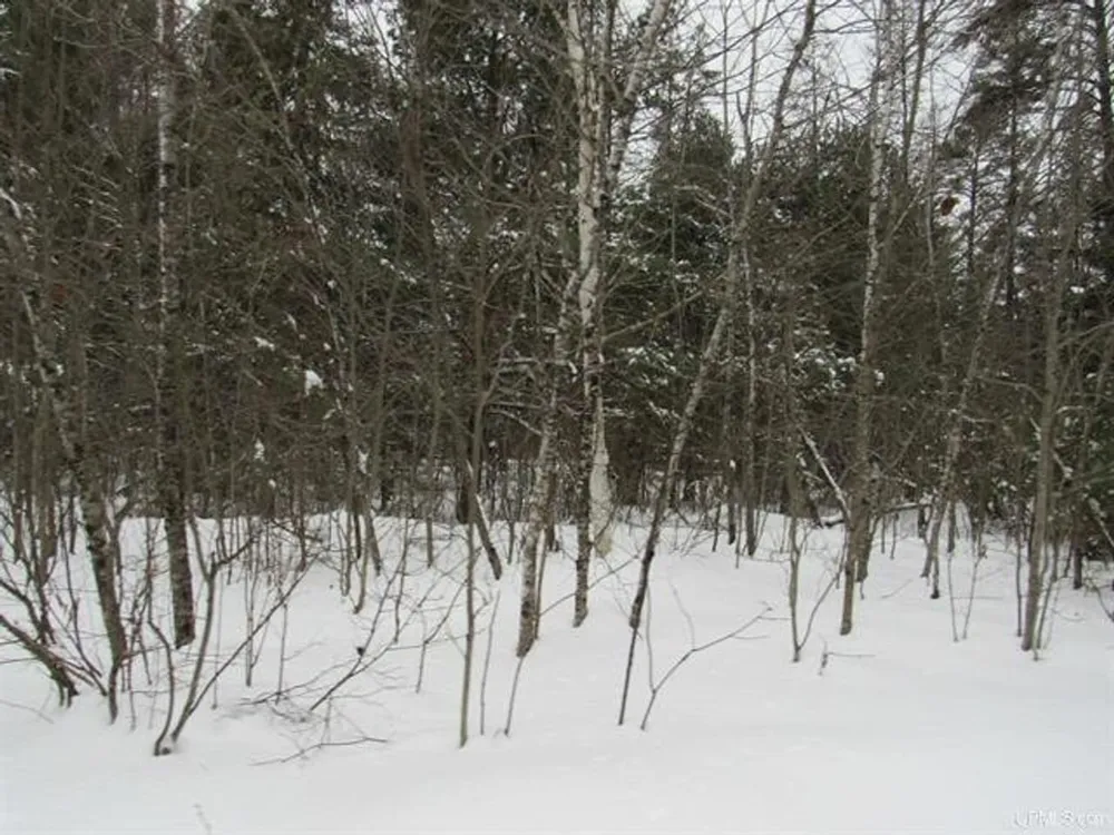 TBD FFR 2127K Road Iron River, MI 49935