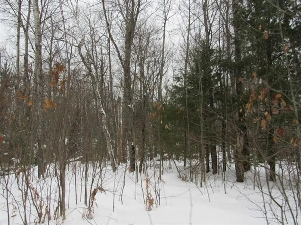 TBD FFR 2127K Road Iron River, MI 49935