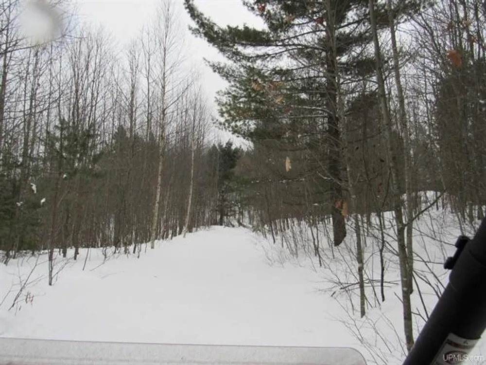 TBD FFR 2127K Road Iron River, MI 49935