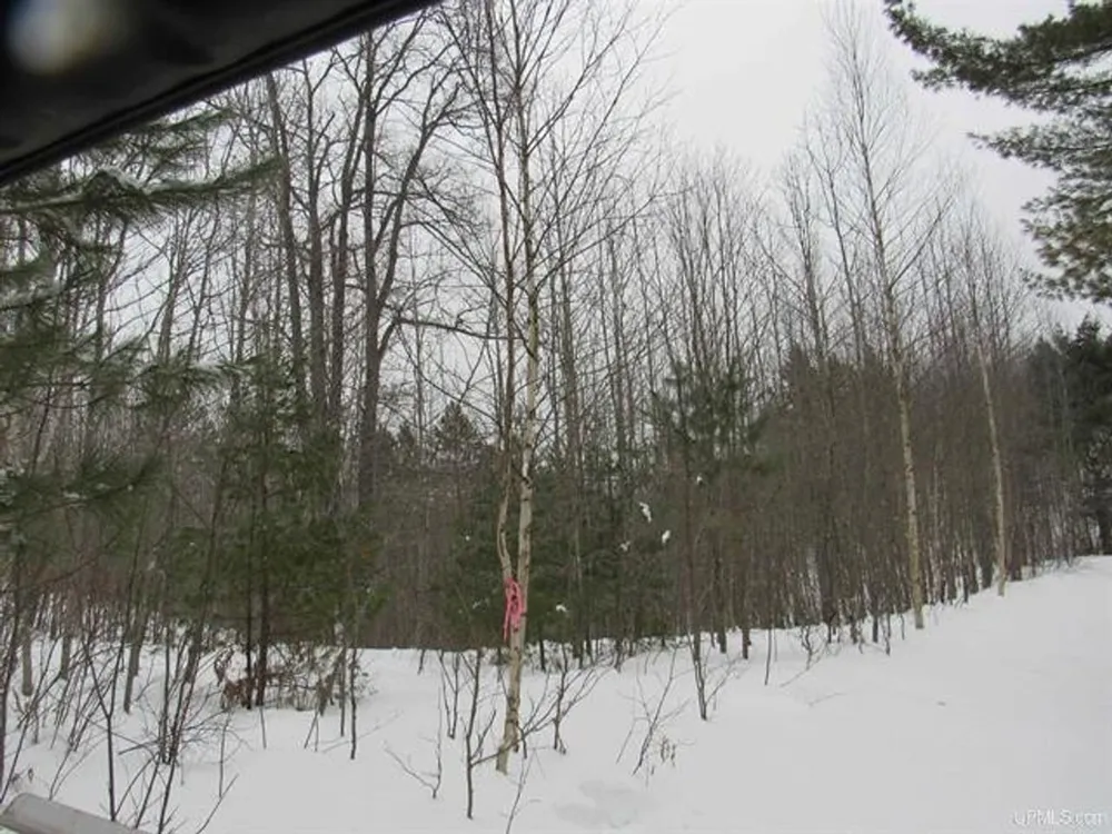 TBD FFR 2127K Road Iron River, MI 49935