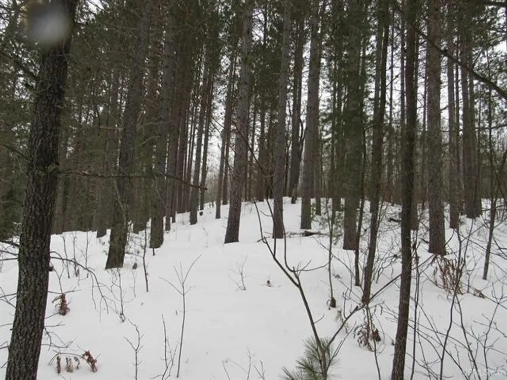 TBD FFR 2127K Road Iron River, MI 49935