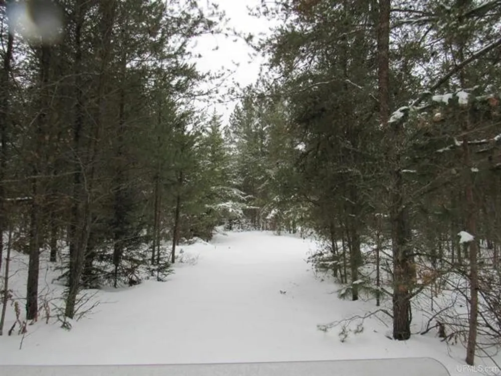 TBD FFR 2127K Road Iron River, MI 49935