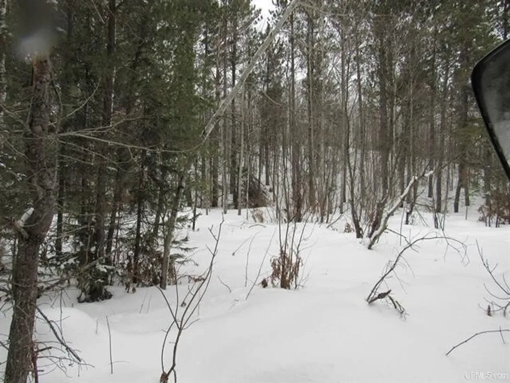 TBD FFR 2127K Road Iron River, MI 49935