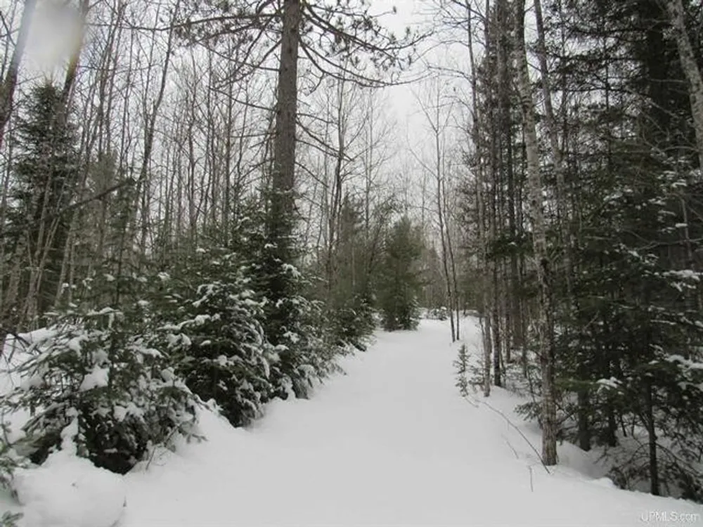 TBD FFR 2127K Road Iron River, MI 49935