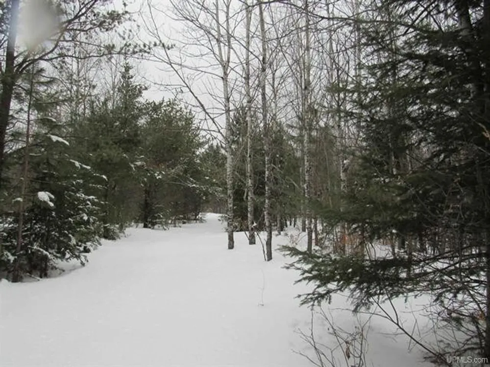 TBD FFR 2127K Road Iron River, MI 49935