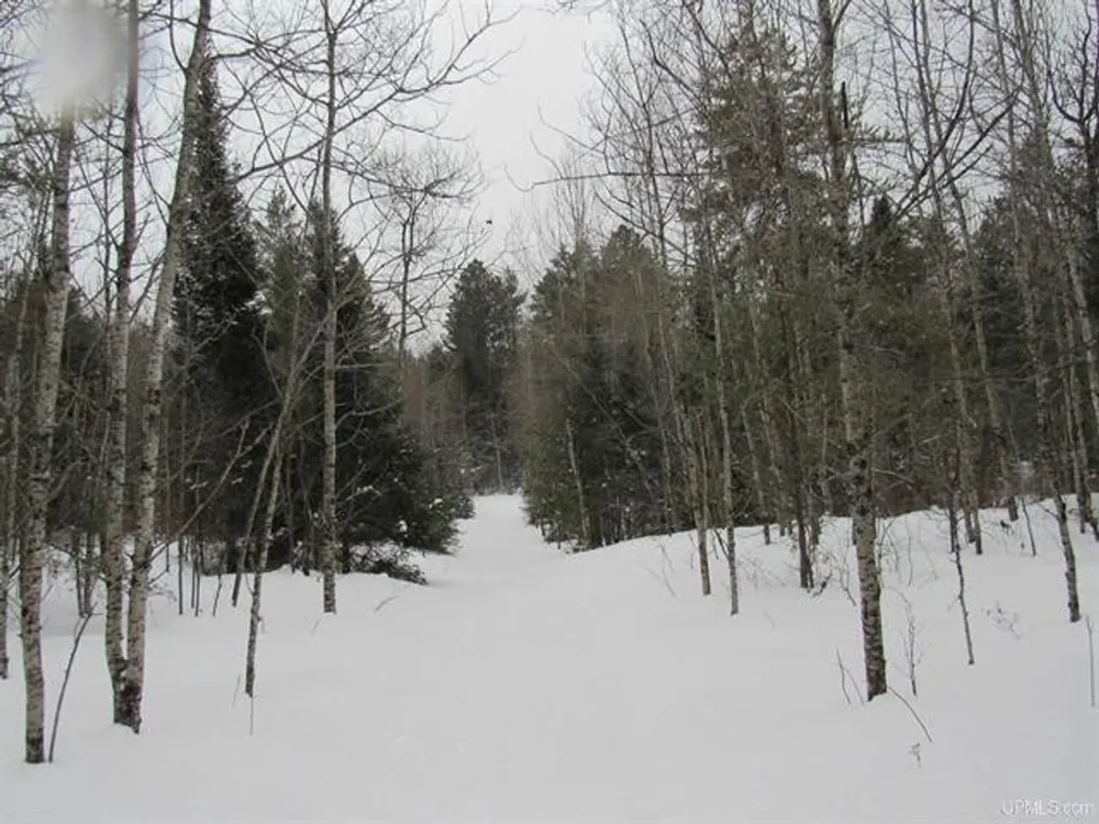 TBD FFR 2127K Road Iron River, MI 49935