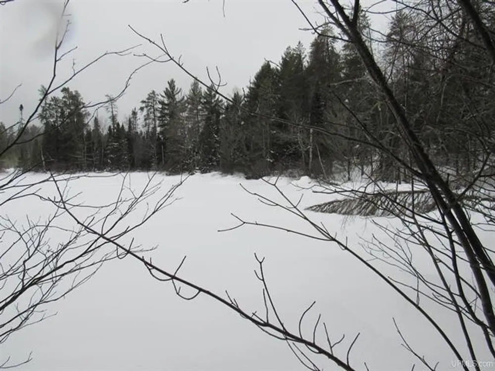 TBD FFR 2127K Road Iron River, MI 49935