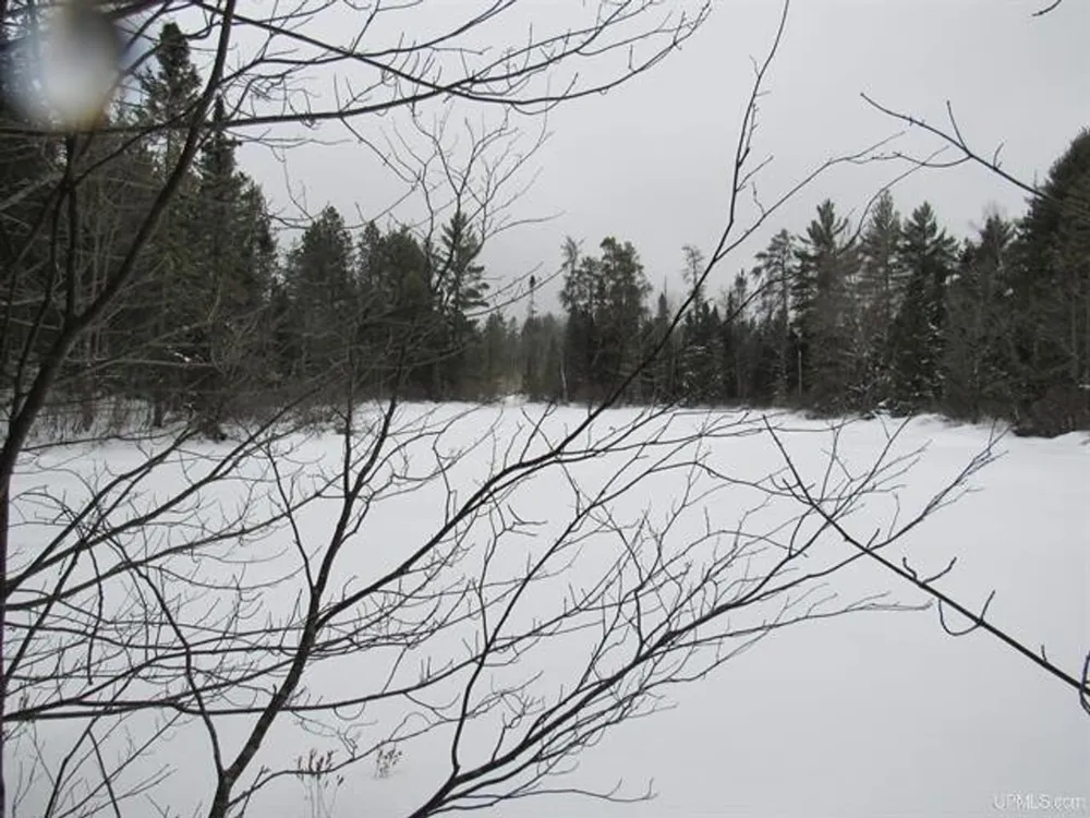 TBD FFR 2127K Road Iron River, MI 49935