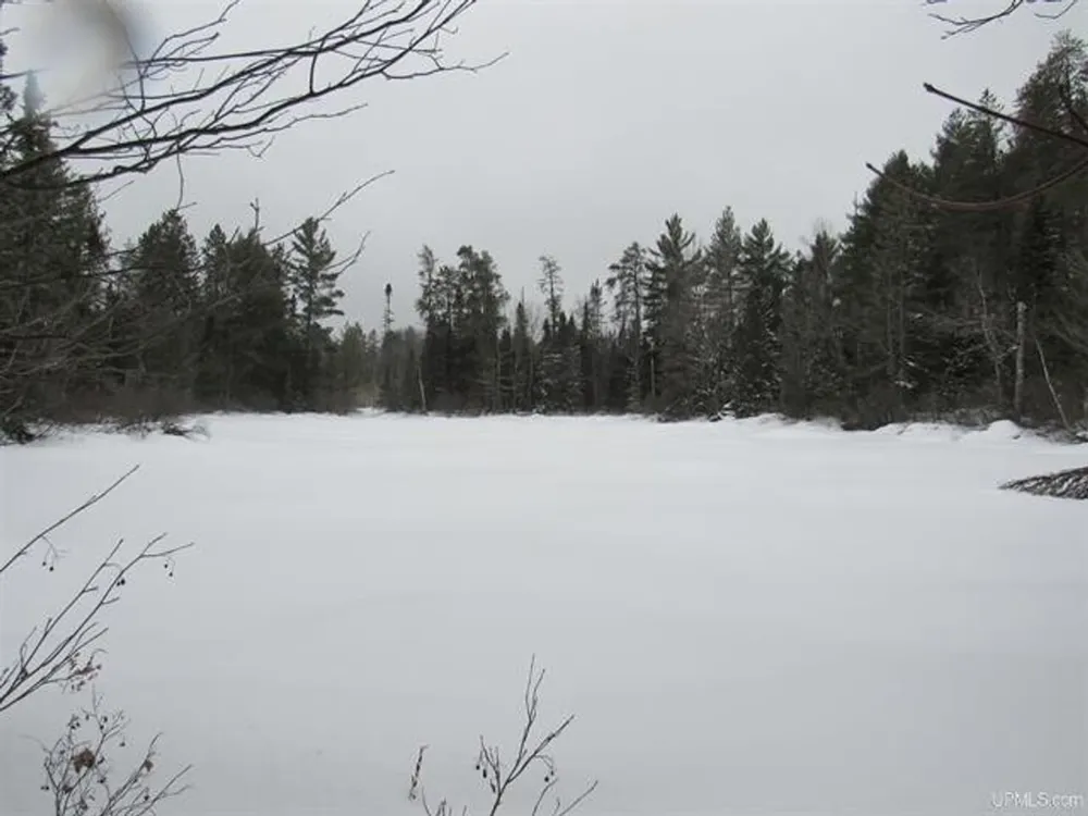 TBD FFR 2127K Road Iron River, MI 49935