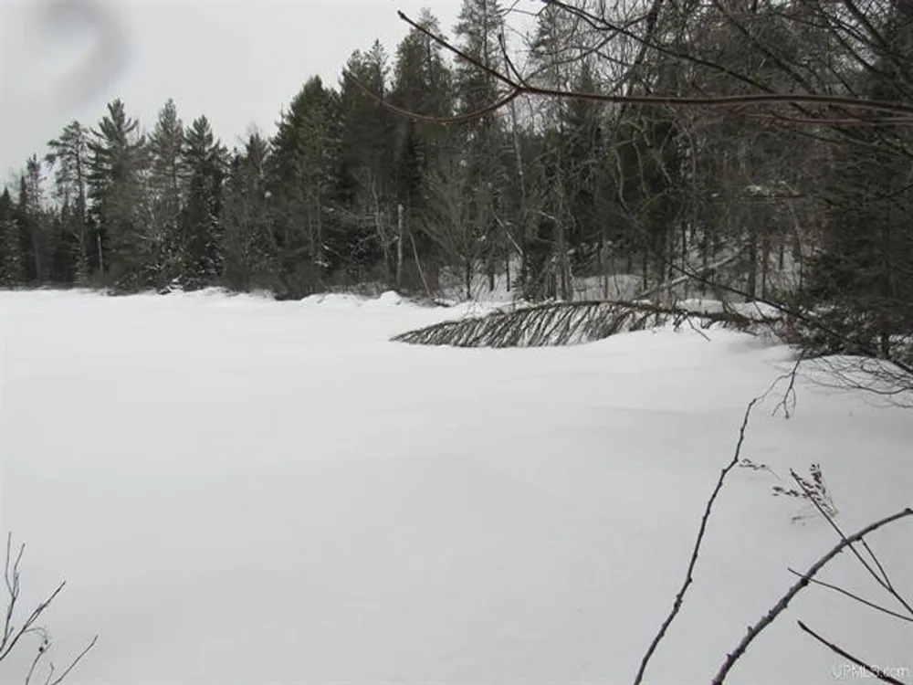 TBD FFR 2127K Road Iron River, MI 49935