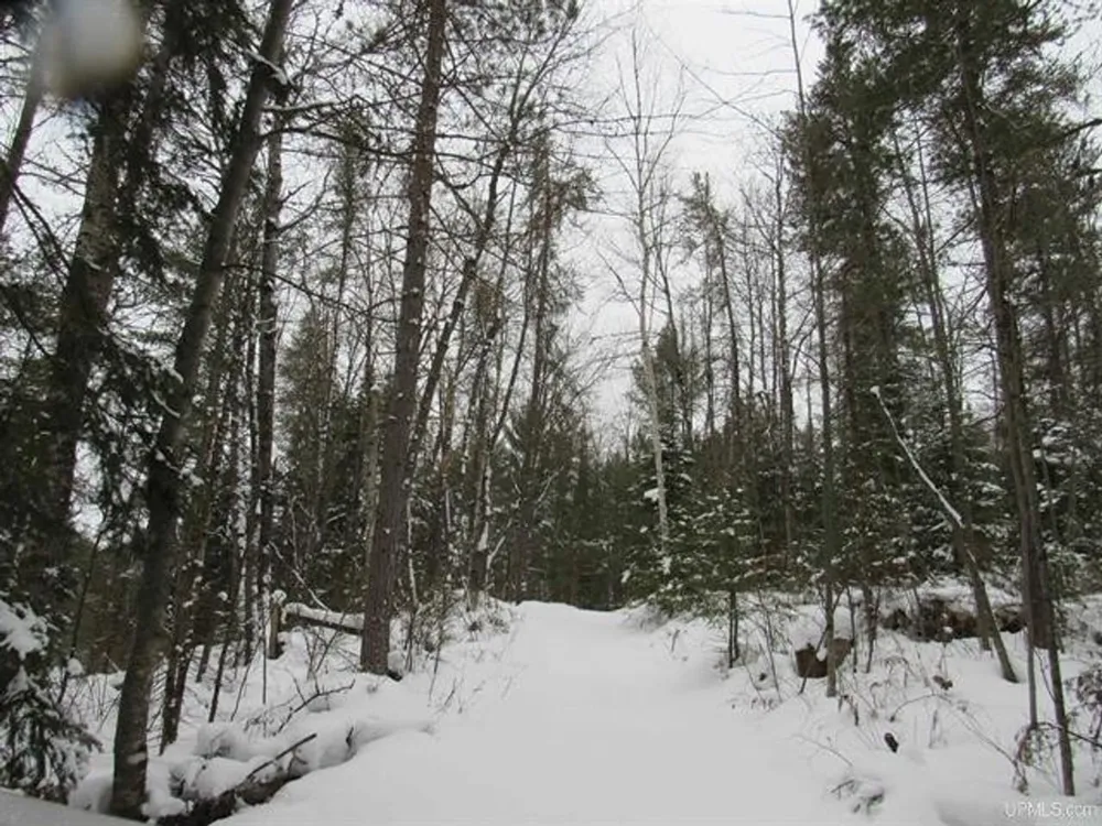 TBD FFR 2127K Road Iron River, MI 49935