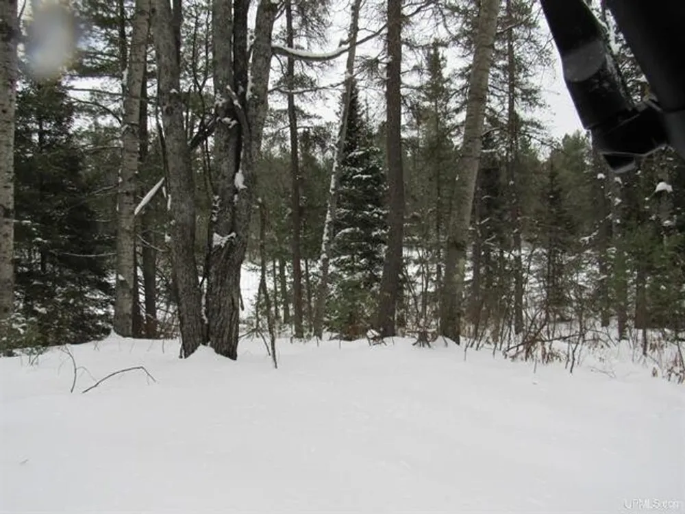 TBD FFR 2127K Road Iron River, MI 49935