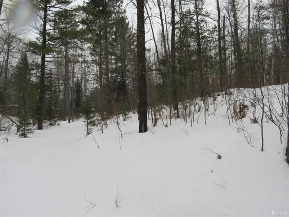TBD FFR 2127K Road Iron River, MI 49935
